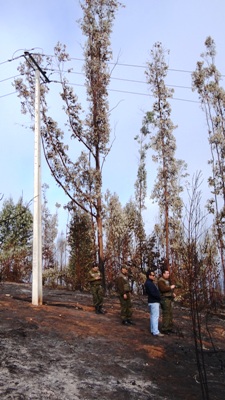 Fiscal Andrade recorre parcela donde se inició el incendio.