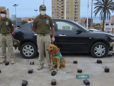 Parte de la droga decomisada junto al can Aragon