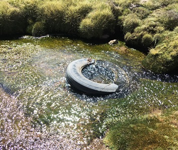 La Fiscalía de Putre abrió una investigación de oficio por el grave cuadro de contaminación en el Lago Chungará.