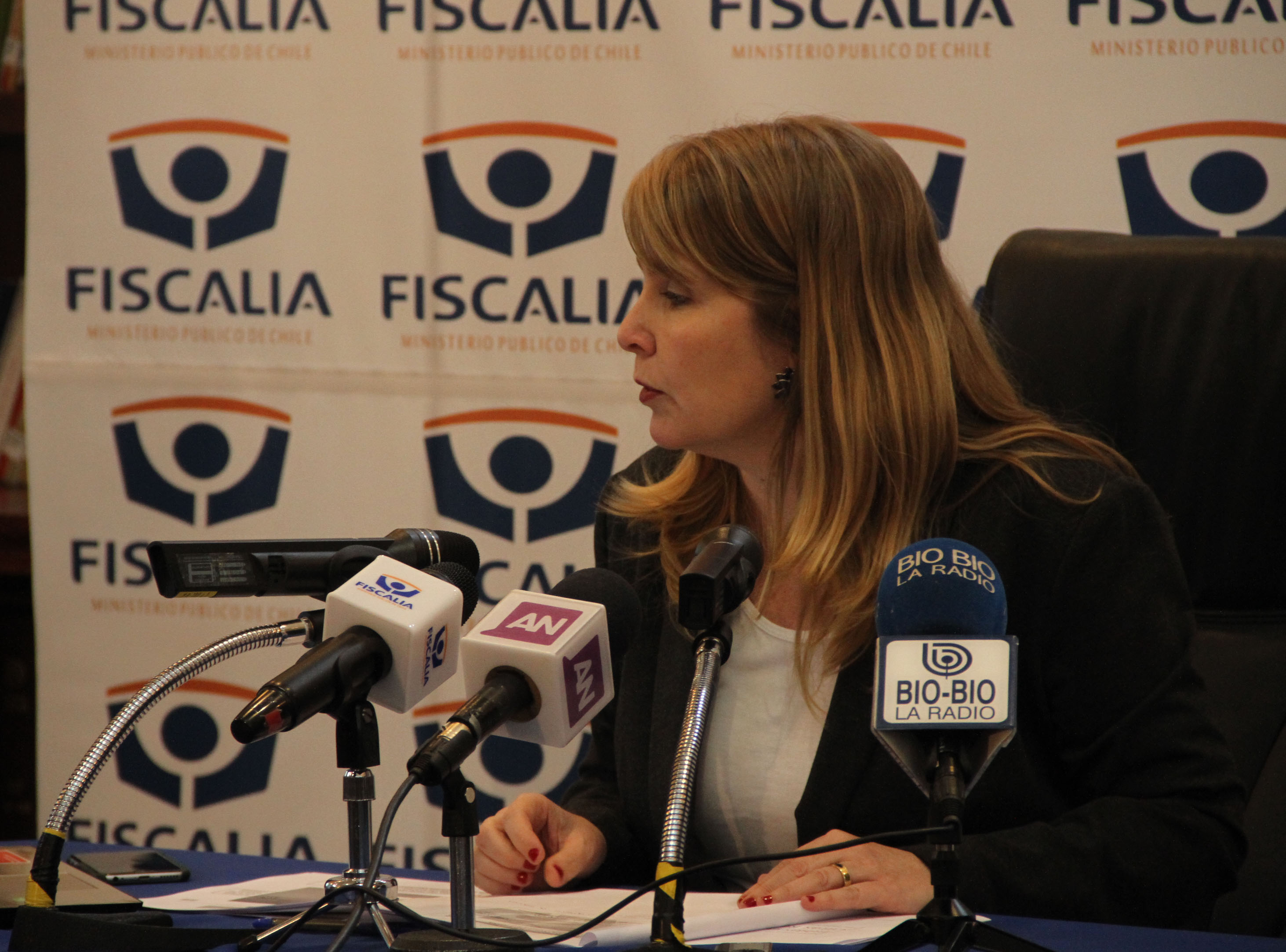 Directora Ejecutiva Nacional del Ministerio Público, Francisca Werth