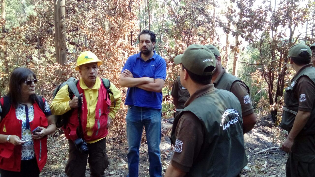 El Fiscal Regional (s) del Biobío, Álvaro Hermosilla, lideró hoy el primer levantamiento de evidencias del incendio de Florida