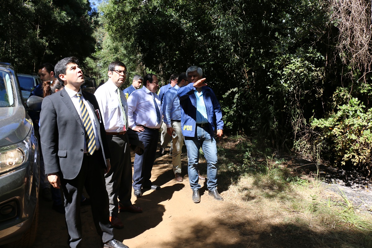 Fiscal Regional de La Araucanía encontró indicios de intencionalidad en incendio en Cerro Ñielol