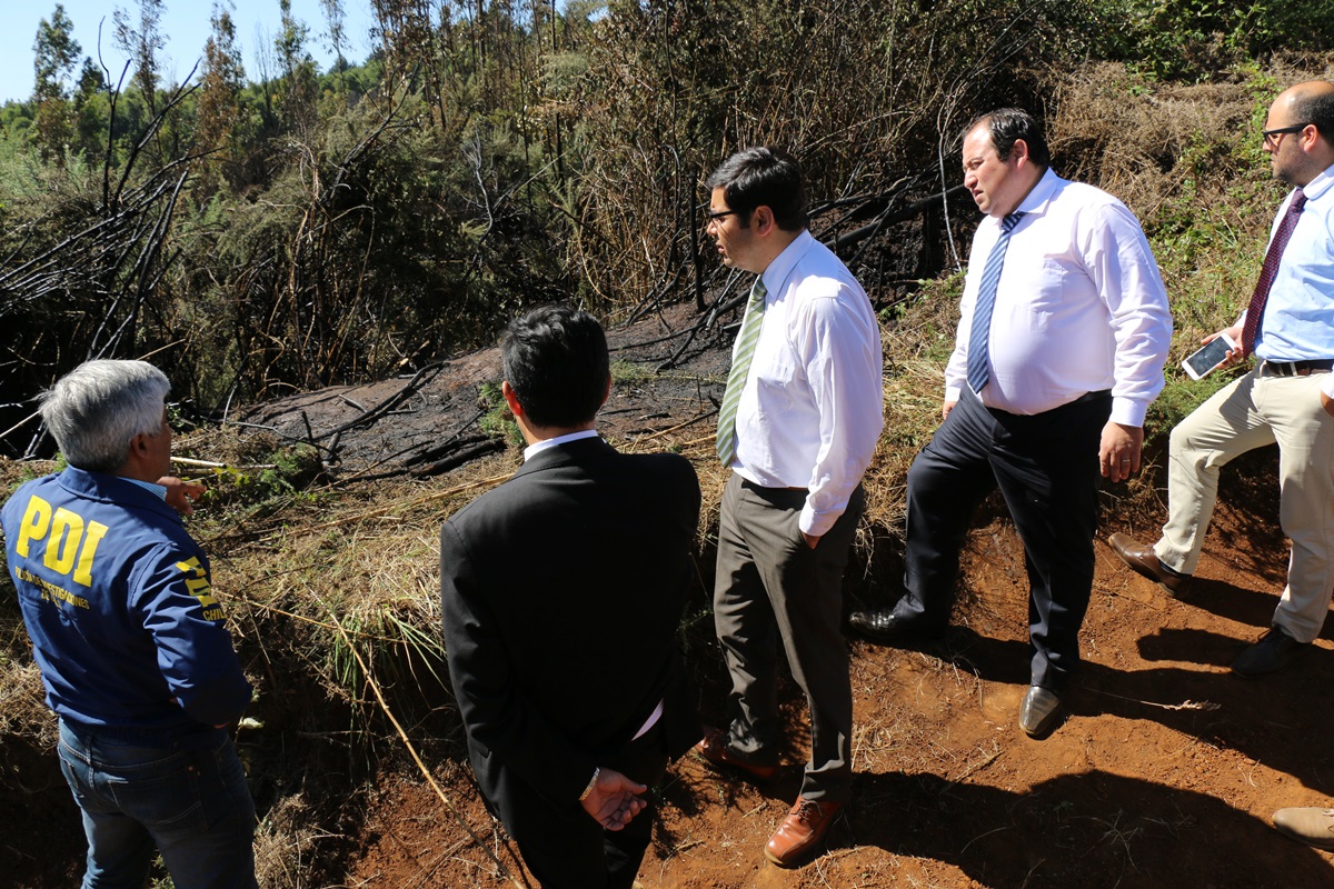 Fiscal Regional de La Araucanía encontró indicios de intencionalidad en incendio en Cerro Ñielol