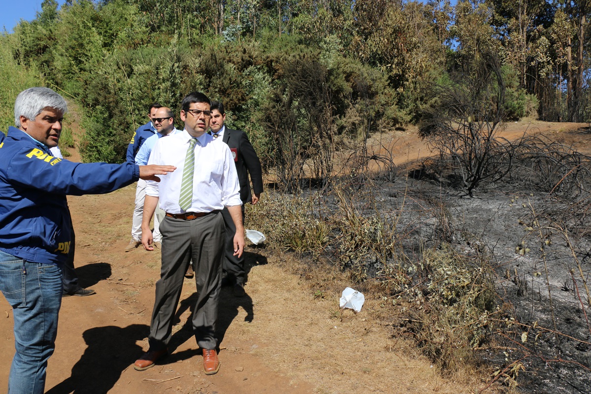 Fiscal Regional de La Araucanía encontró indicios de intencionalidad en incendio en Cerro Ñielol