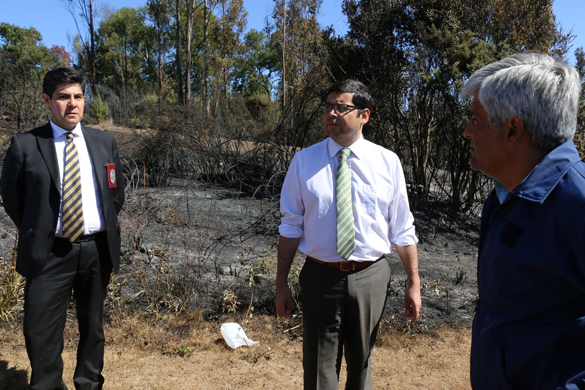 Fiscal Regional de La Araucanía encontró indicios de intencionalidad en incendio en Cerro Ñielol