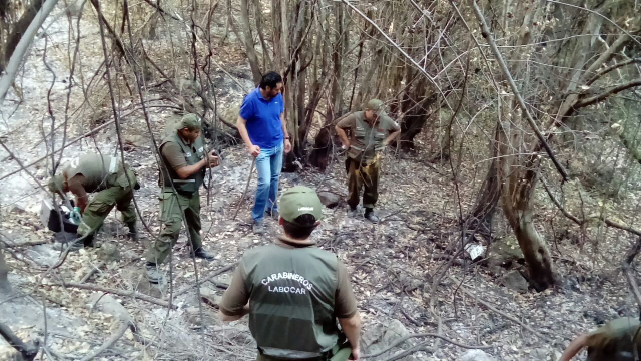 Penas por incendios de bosques van desde 61 días a presidio perpetuo