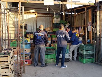 La Fiscalía trabajó con personal municipal, policial y del Servicio de Impuestos Internos en el foco.