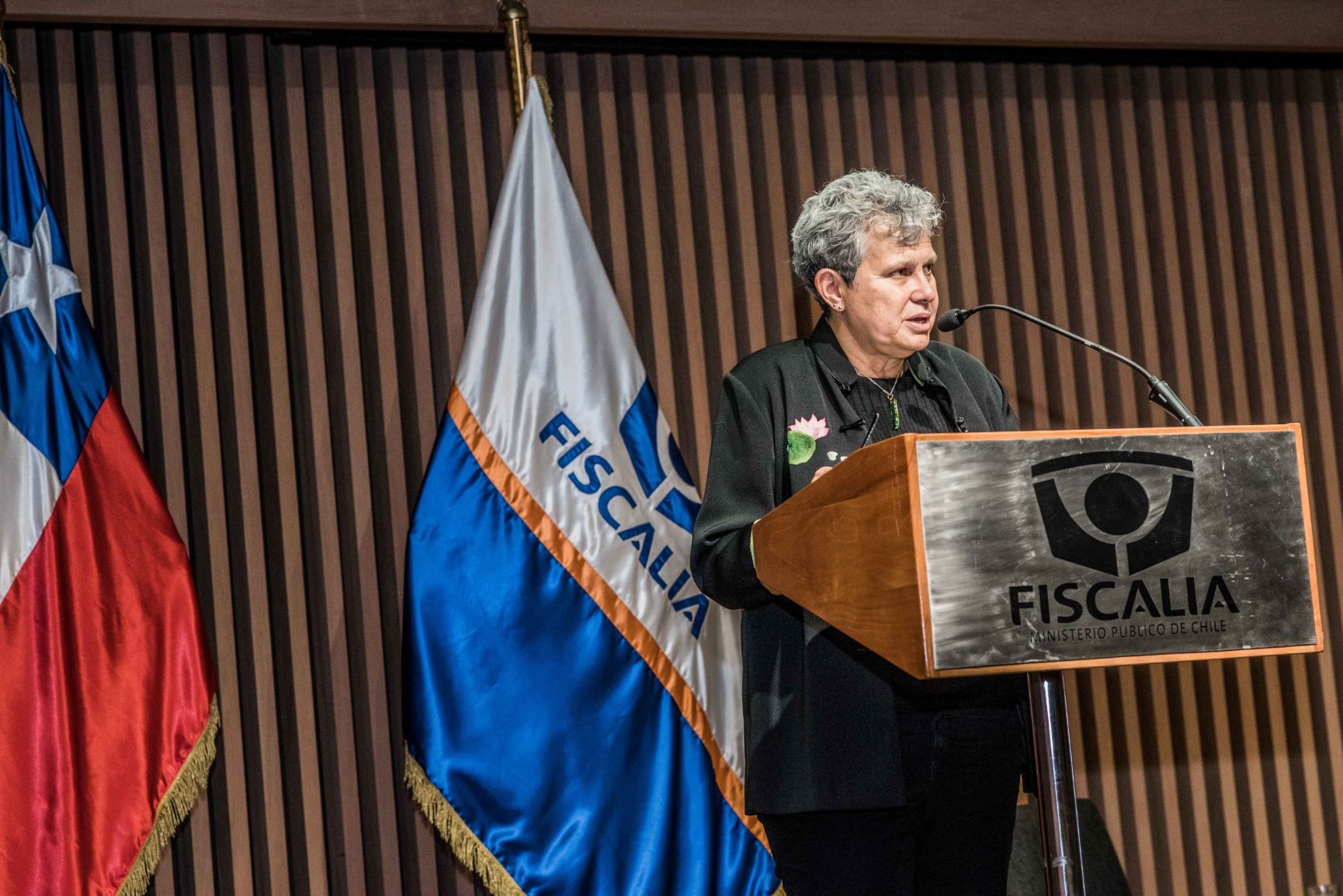 Roxana Arroyo, consultora del programa Mujer, Justicia y Género del Instituto Latinoamericano de Naciones Unidas para la prevención del delito