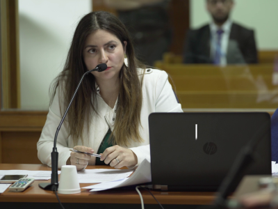 Fiscal de Puerto Varas, Lorena Meza Torres.