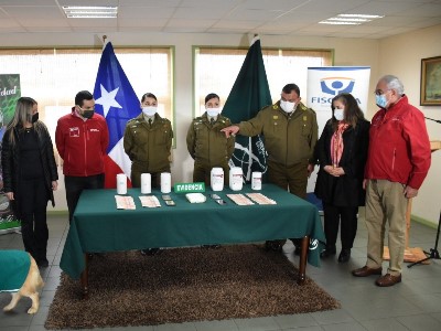 En control sanitario de San Pablo fue detectada droga destinada a consumidores de la Región de Los Lagos.