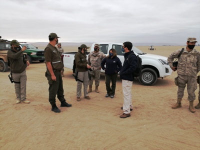 La Fiscalía dirigió un operativo en la zona fronteriza, junto a Carabineros y con el apoyo de personal de Ejército.