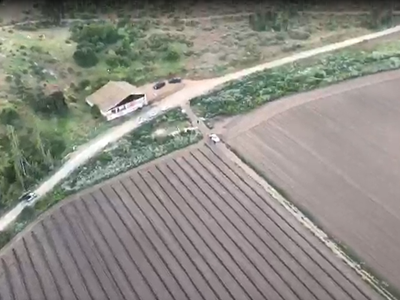 La parcela donde estaban cultivando la marihuana se ubica en el sector de Longotoma, comuna de Los Vilos.