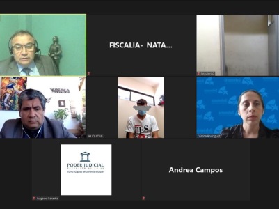 La audiencia de formalización se realizo por sistema de videoconferencia.