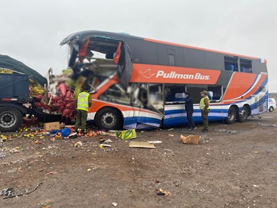 El grave accidente carretero ocurrió al norte de Chañaral. 