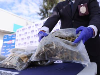 Ocultos en un camión se encontraron 268 kilos 940 gramos de marihuana, además de cocaína..