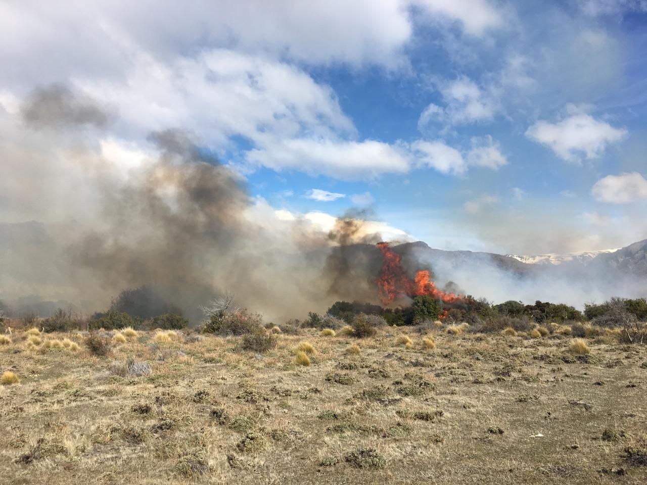 El siniestro logró ser controlado por una Brigada de Conaf que permanecía en las cercanías del lugar. (Foto: El Divisadero)