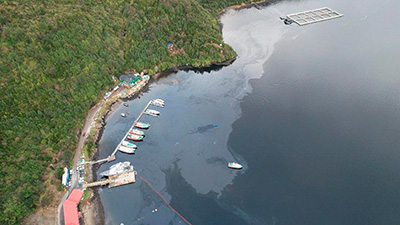 Hecho ocurrió el lunes en Puerto Chacabuco (Imagen:PDI) 