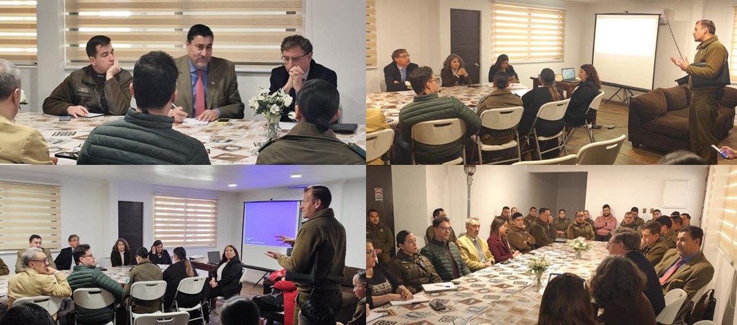 Representantes de Carabineros de Chile, Fiscalía Occidente, Tribunal de Familia y el de Garantía.