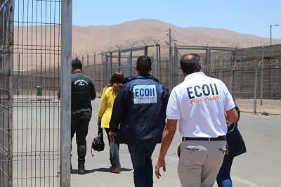 Equipo ECOH de Fiscalía concurrió a la cárcel e instruyó diligencias a la PDI.