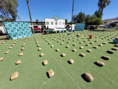 En el procedimiento se incautaron más de 600 kilos de droga.