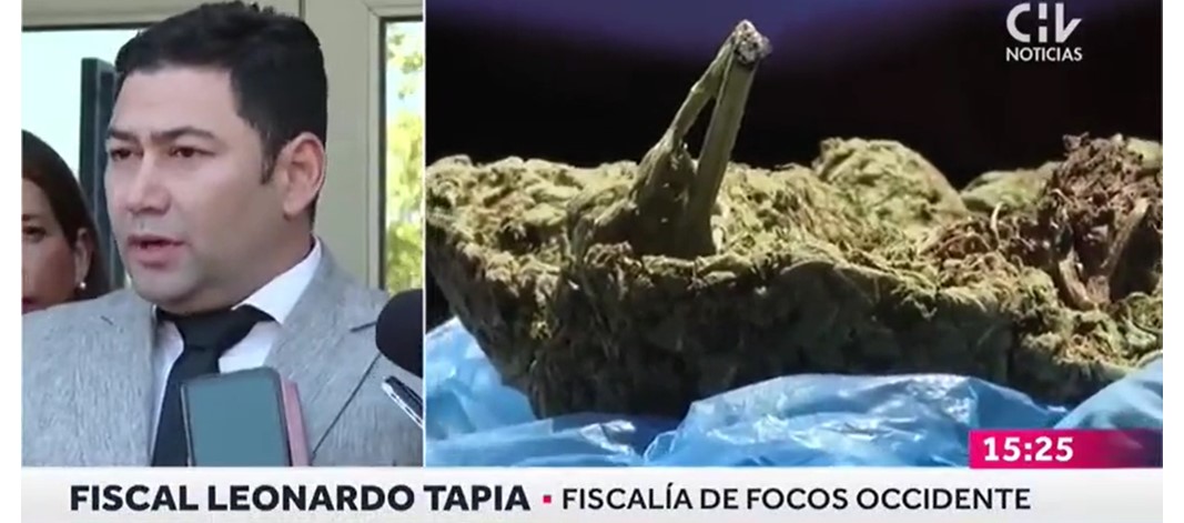 El procedimiento es fruto de una investigación de un año, encabezada por el Fiscal Jefe de Focos Occidente, Leonardo Tapia