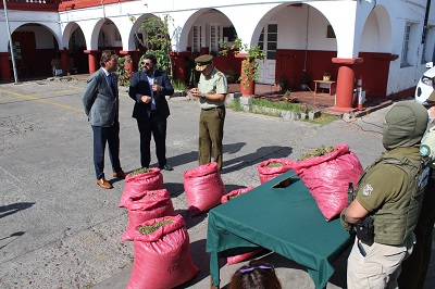 La investigación se centrará ahora en determinar al dueño de los predios donde se encontró la droga.
