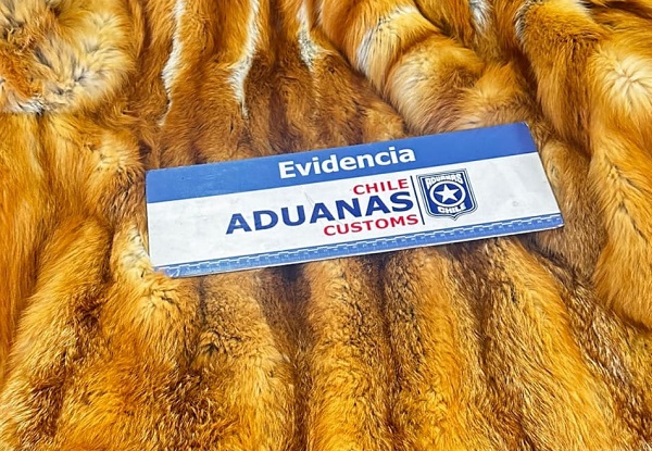Especie incautada en Puerto de San Antonio