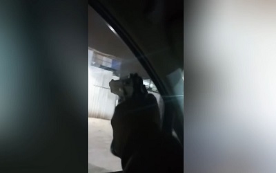 Imputado grabó momentos de los disparos y video fue recuperado por el OS9. 
