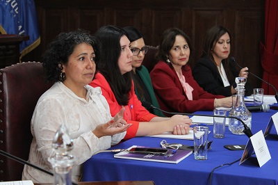 Una fiscal, una seremi, una jueza, una defensora y una abogada de la corporación abordaron estos temas.