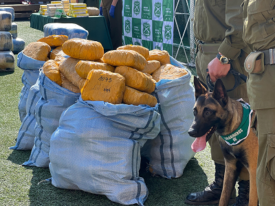 La droga estaba acopiada a pocos kilómetros de la frontera con Bolivia.