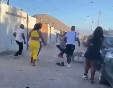 La grave agresión al animal le causó lesiones de extrema gravedad.