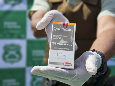 Ketamina: un negocio criminal en expansión. Incautaciones de esta droga se triplicaron en Antofagasta