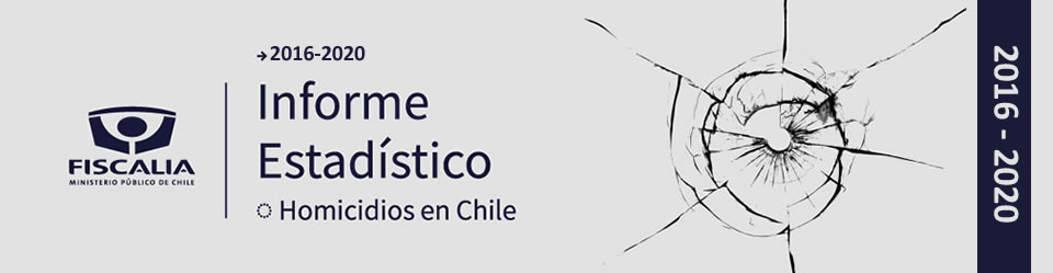 Click para Descargar Informe :Homicidios en Chile 2016-2020 