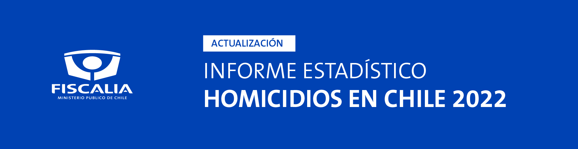 Click para Descargar Informe :Homicidios en Chile 2022