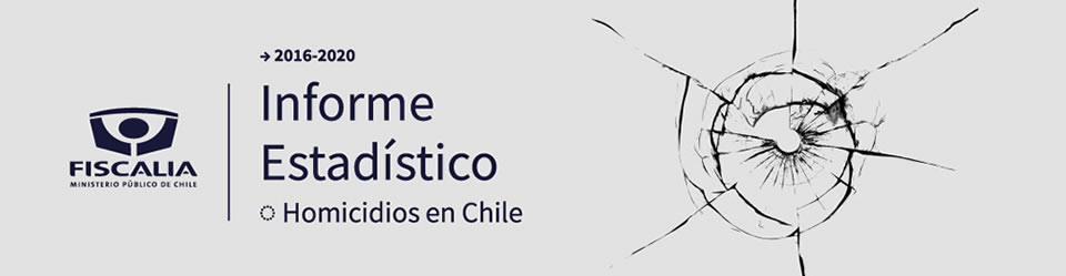Click para Descargar Informe :Homicidios en Chile 