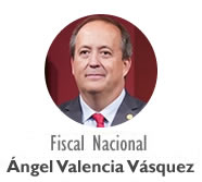 Fiscal Nacional (s)