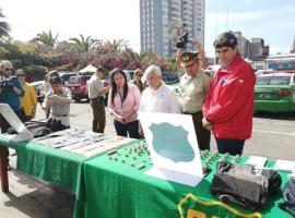 Junto a la fiscal Jóecelyn Pacheco, el intendente regional, el general de Carabineros y el gobernador de Iquique destacaron el procedimiento.