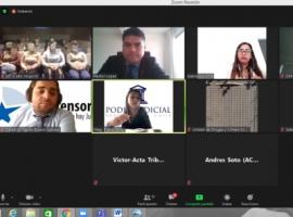 La audiencia de formalización se realizo por sistema de videoconferencia.