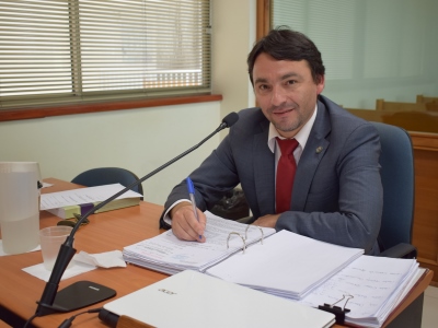 Fiscal Ricardo Castro Lillo