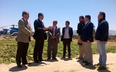 El fiscal de Ovalle, Rodrigo Gómez (a la derecha) en la incautación de matas de cannabis.