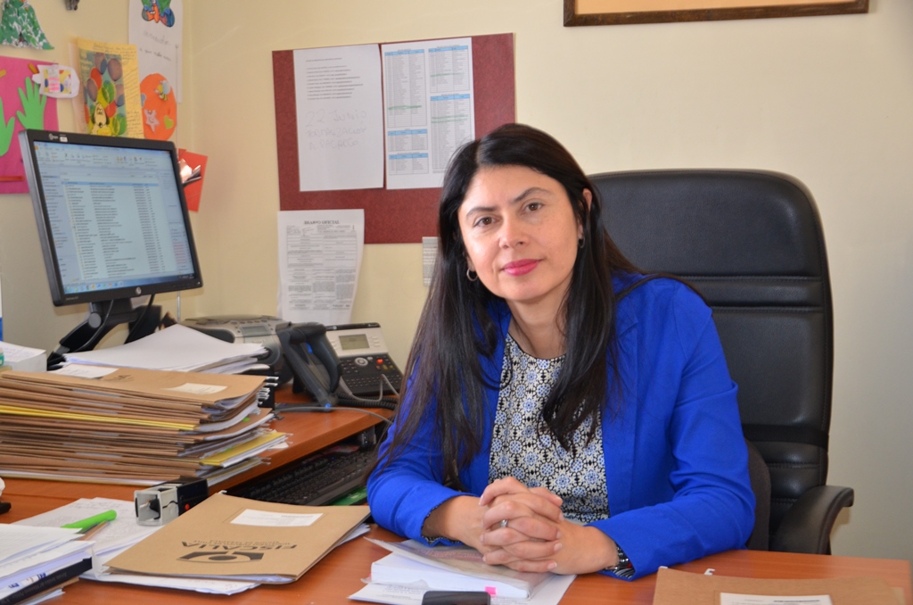 Fiscal Virginia Aravena