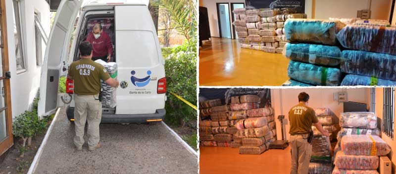 Organización del procedimiento.