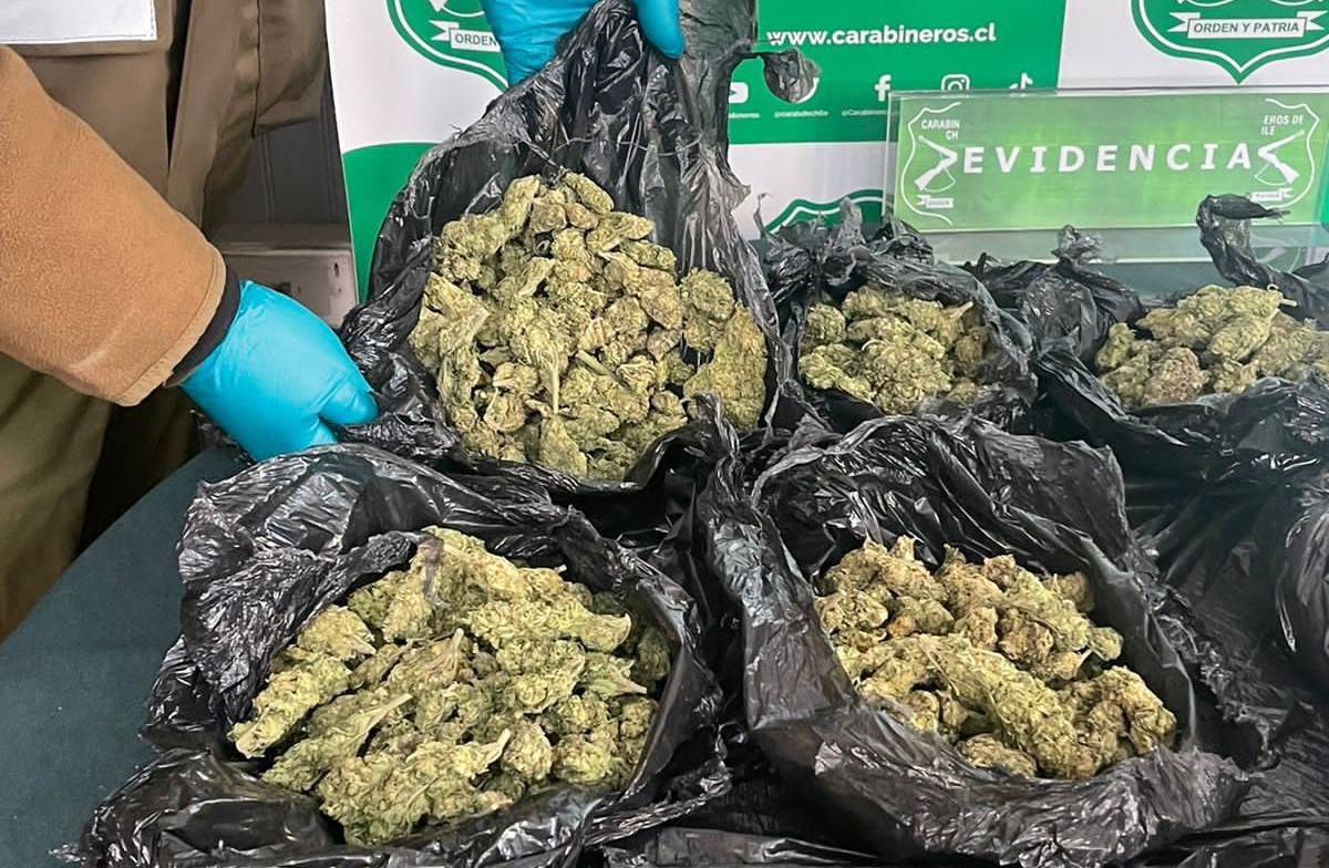 En este procedimiento, además de marihuana, se incautó clorhidrato de cocaína y MDMA, sumado a balanzas digitales y dinero.