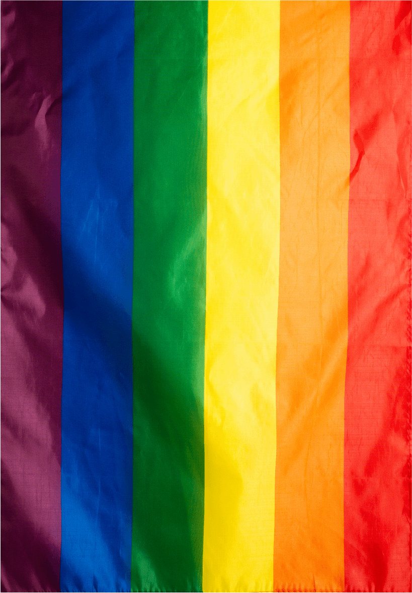 diversidad