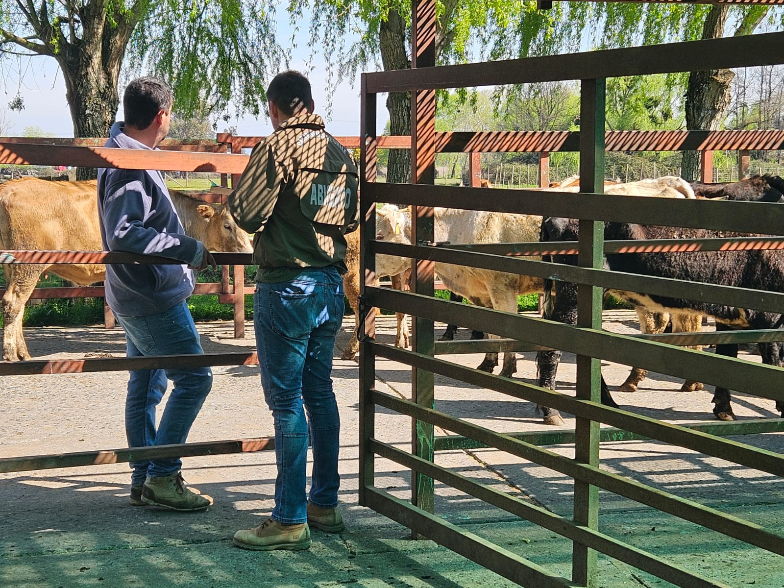 operativo de Carabineros