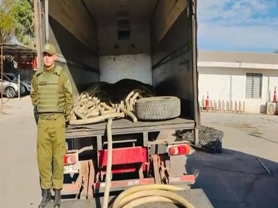 Los imputados fueron detenidos gracias a controles de Carabineros.