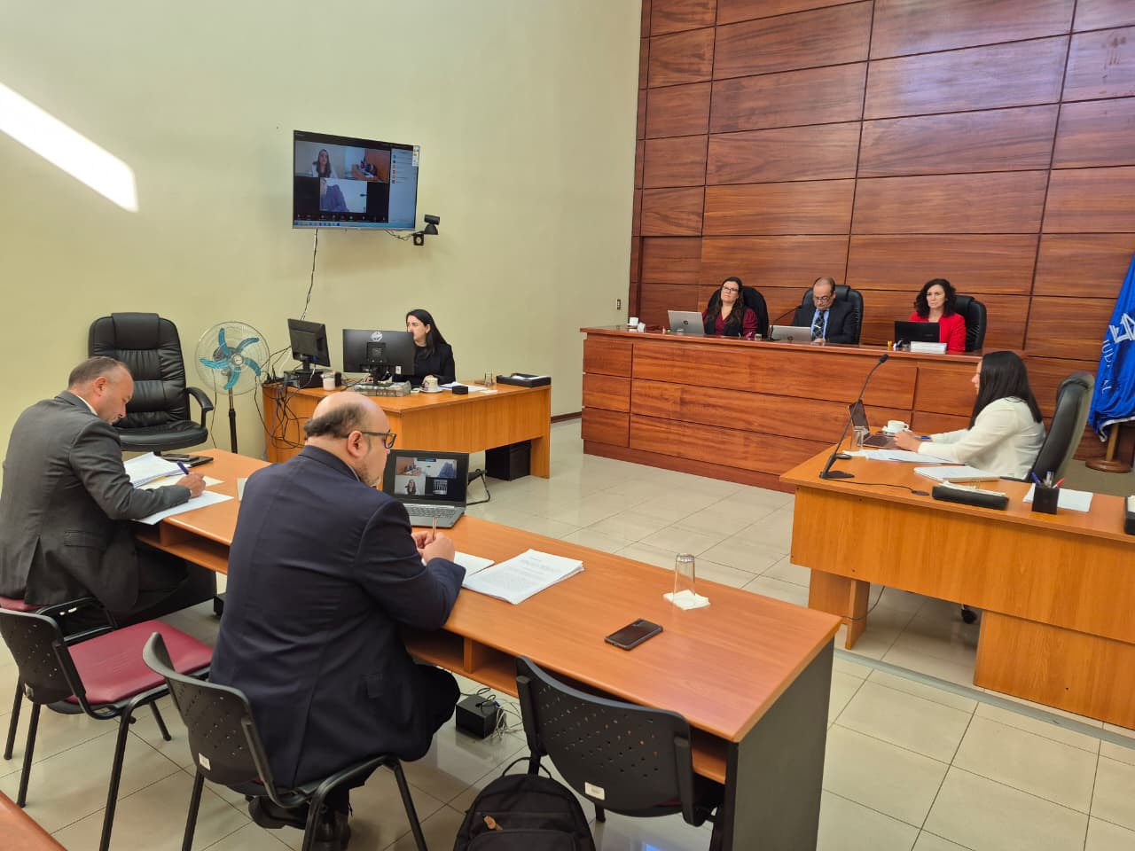 audiencia en I. Corte de Apelaciones de Concepción.