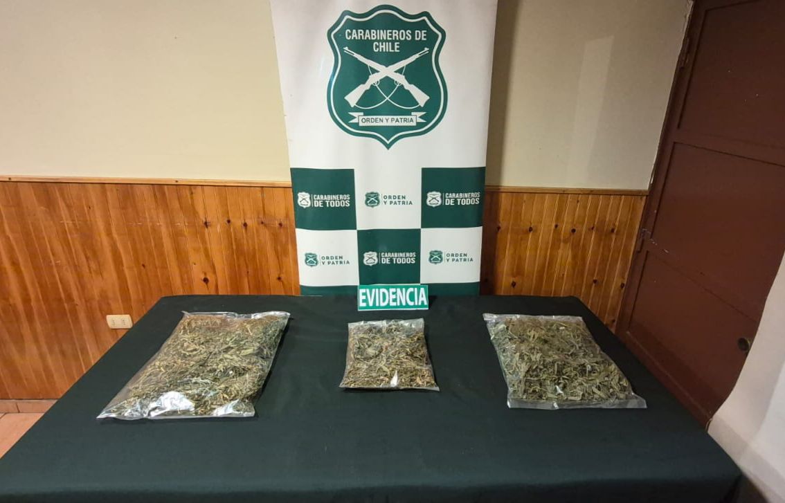 casi 600 gramos de marihuana a granel.