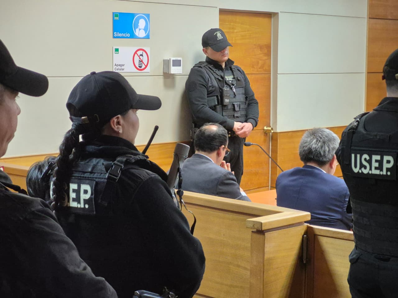 audiencia de formalización de la investigación