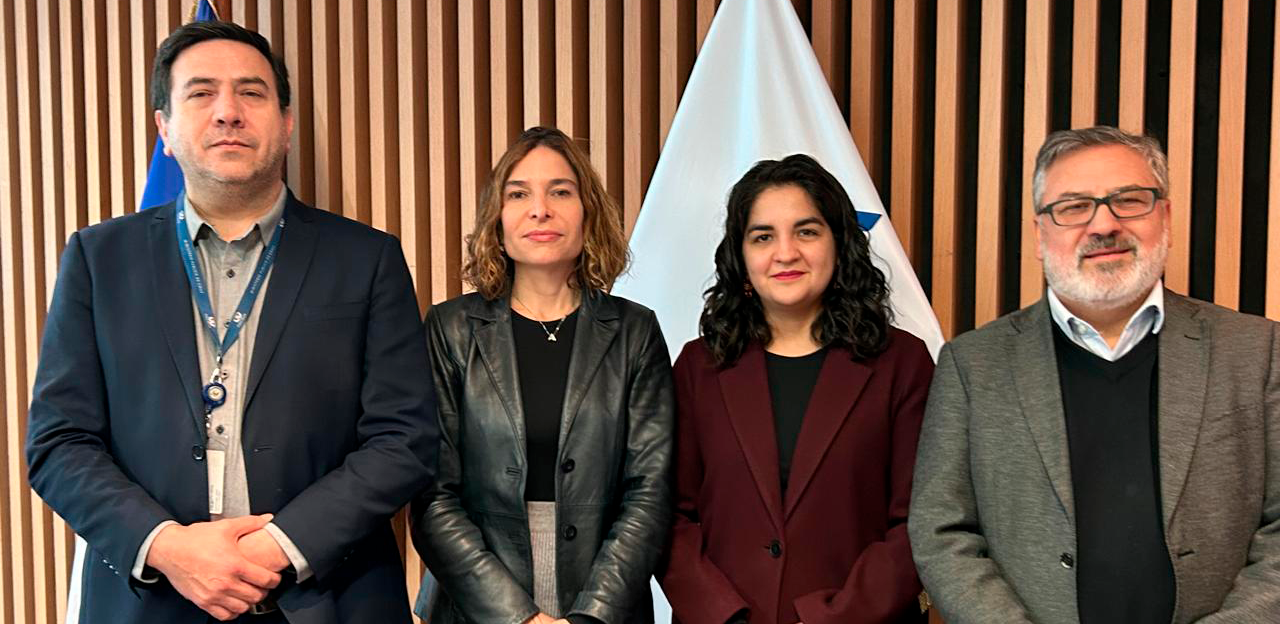 El informático David Salinas, la gerenta de la División de Estudios, Ana María Morales, la ingeniera civil industrial, Valentina Reyes y el abogado, Claudio Ramírez. 